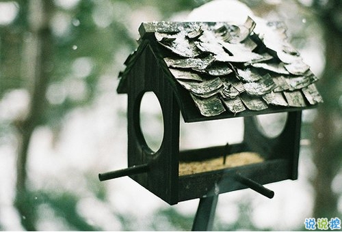 2024年员工工作自我鉴定简短(5篇)