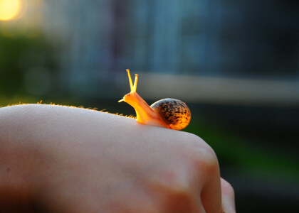 试论正确认识多媒体语言实验室运用