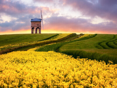 完善我国预算决策与管理制度的模式选择