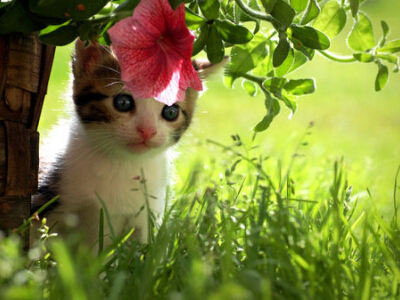 2024餐饮加盟店合同书