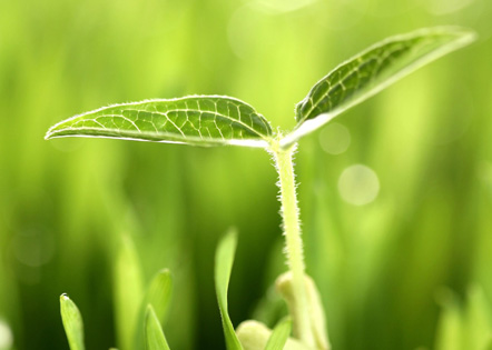 乡镇履行纪委同级监督责任的工作报告