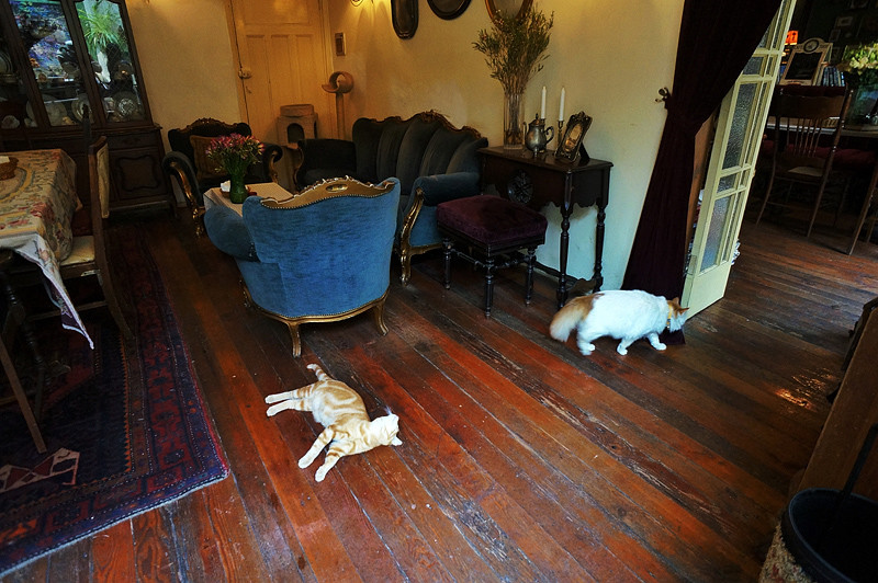 2024年门面房屋租赁合同 门面房屋租赁合同简单(二十三篇)