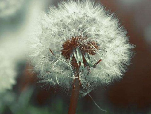 企业类赠与合同文本格式