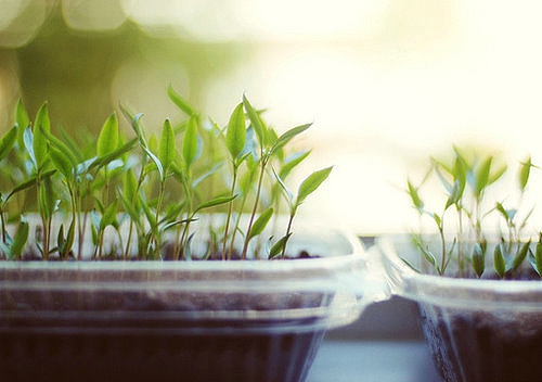 小学学习计划书的范文