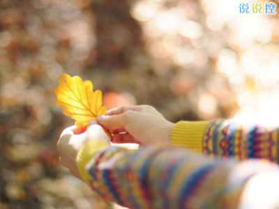 2024年苗木简单购买合同清单 苗木购销合同(3篇)