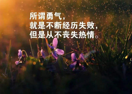 最新提倡环保的作文 环保的作文500字(八篇)