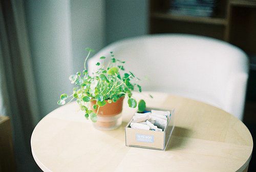 最新跨越的满分作文 跨越为话题作文800字(8篇)