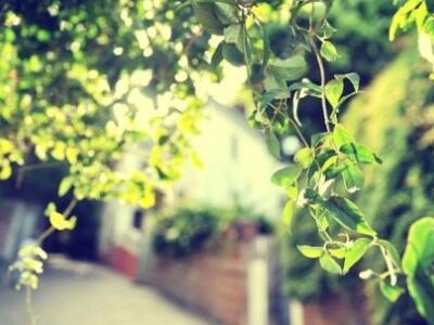 公司月工作总结报告(四篇)