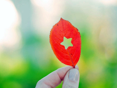 书信格式及范文500字共6篇