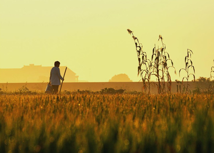 2024品牌加盟店合同范本