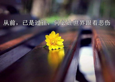 简单点的装修合同(十篇)