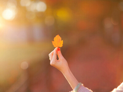 六年级想象作文400字【三篇】