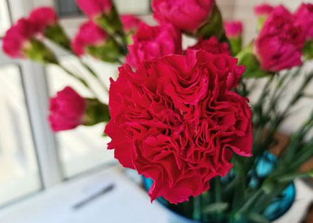 英语6级2024作文范文精选10篇