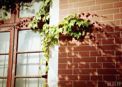 金融合同:重大疾病定期保险合同