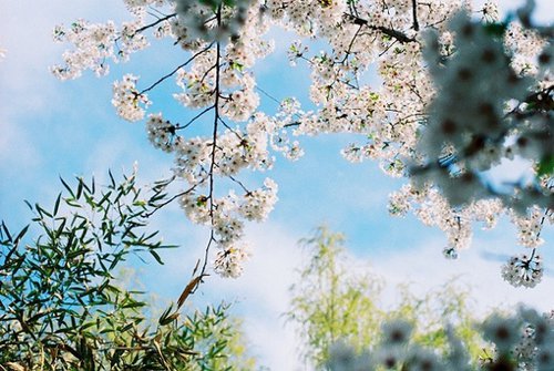 《变形计》观后感汇总