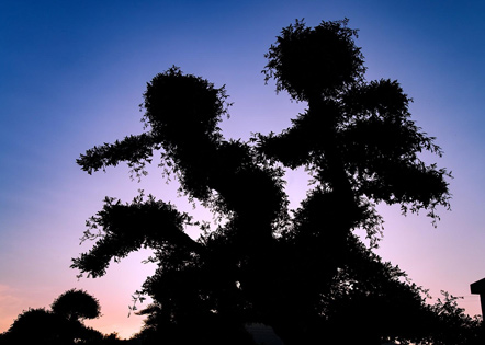 美丽的双手作文范文英语优选13篇