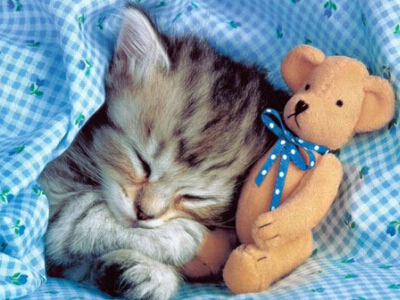 展台施工合同范本(优选22篇)