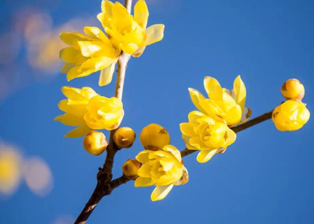 最新七一庆典主持词(8篇)