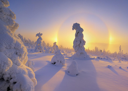 2024年工商管理专业毕业论文参考文献(推荐)