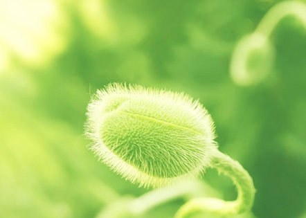 2024超市用工合同范文