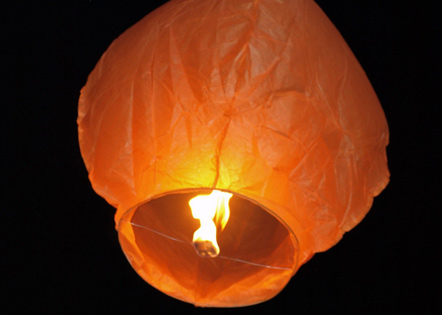 水立方作文300字(10篇)