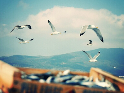 2024年初三学生托管申请书 初三学生入团申请书(实用9篇)