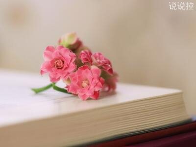 2024年清明节踏青作文600字初一 清明节踏青作文600字三年级(五篇)