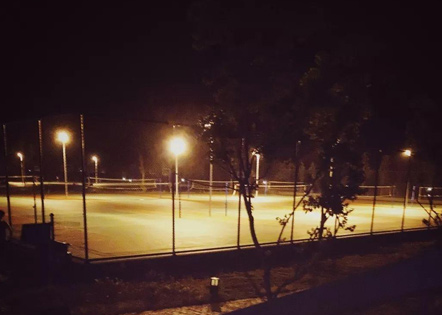 家庭寄养协议书