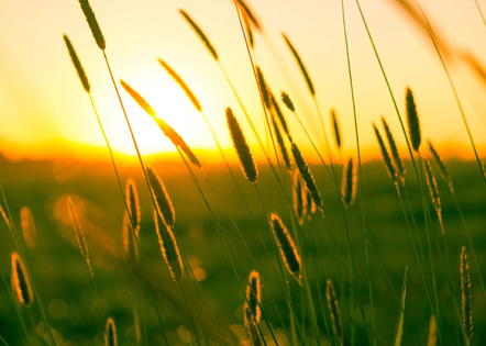 推荐科研人员工作简历模板科研人员工作简历汇总