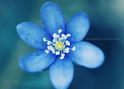 开学新生军训总结800字作文 新生入学军训总结(六篇)