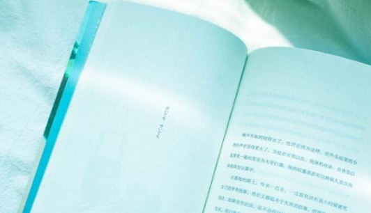 2024年元旦小学生作文600字左右 元旦小学生作文600字(六篇)