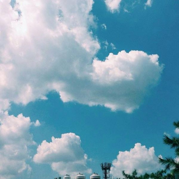 国际互联网络（INTERNET）信息服务合同