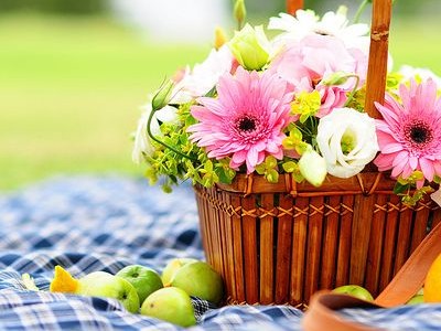 2024年七年级感恩节作文500字 级感恩作文600字(6篇)