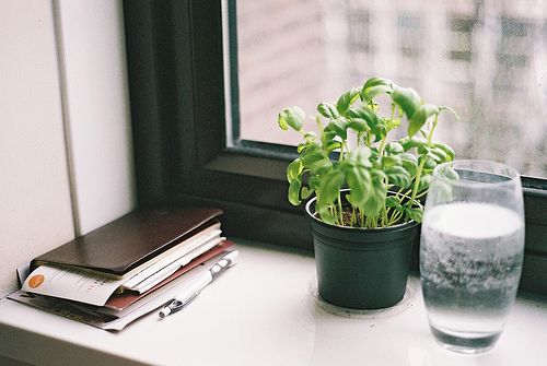 最新《开学第一课》观后感心得汇总(7篇)