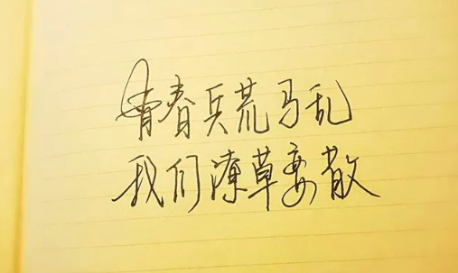 幼儿园诗歌教研活动总结