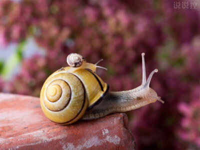 书信格式范文及正文结构优选8篇