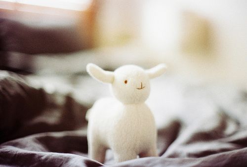 伟大历史的跨越论文1500字集合3篇