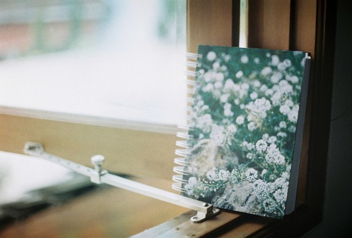 2024年度党风廉政建设工作谈话汇报材料