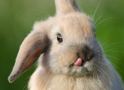 综艺合作协议模板范文(精选24篇)