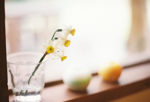 2024年国际公路货物运输合同(六篇)