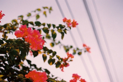 上海市医疗机构药品集中招标采购药品买卖合同