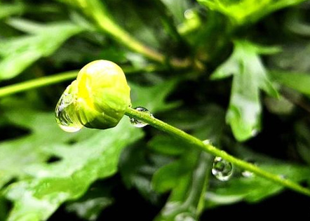 最新119消防宣传日工作总结 119安全消防宣传消防日总结(14篇)