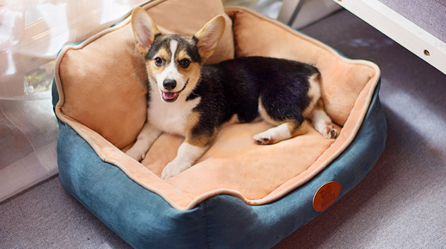 2024震撼人心的励志名言