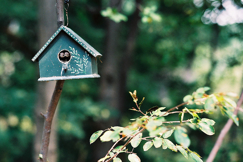 浅谈多媒体在中学化学教学中的作用