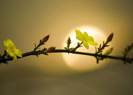 临街店铺出租合同 临街商铺出租描述(四篇)