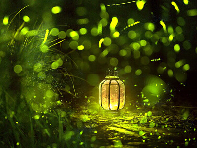 做家务英语作文范文格式(精选57篇)