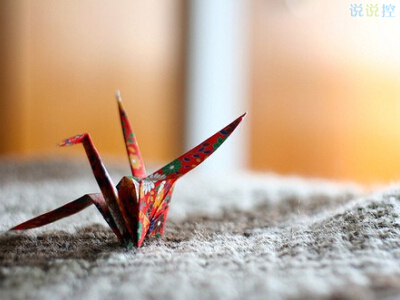 2024年驾驶员个人述职报告500字 驾驶员个人述职报告(三篇)