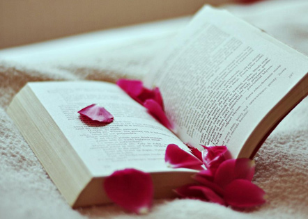 我的好朋友的日记(4篇)