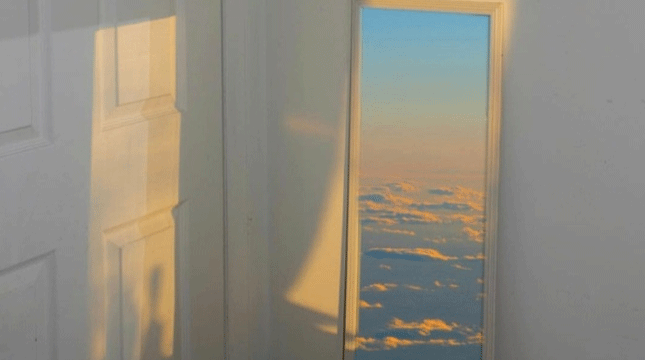 4月预备党员入党转正申请党团材料