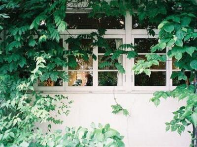 2024医疗机构药品集中招标议标合同书